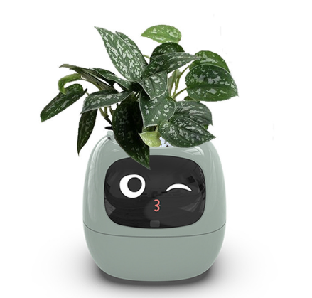 https://static.hzpdex.com/product/20250402/37976376-7134-4c13-9960-e133d13d40c0.png