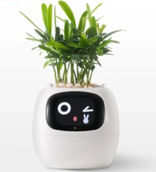 https://static.hzpdex.com/product/20241209/a1296ccb-8c44-4ffe-91df-d684f3d32180.png